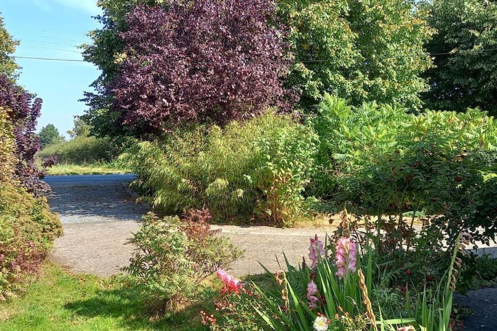 Millfields Cottage And Garden Goxhill  Dış mekan fotoğraf